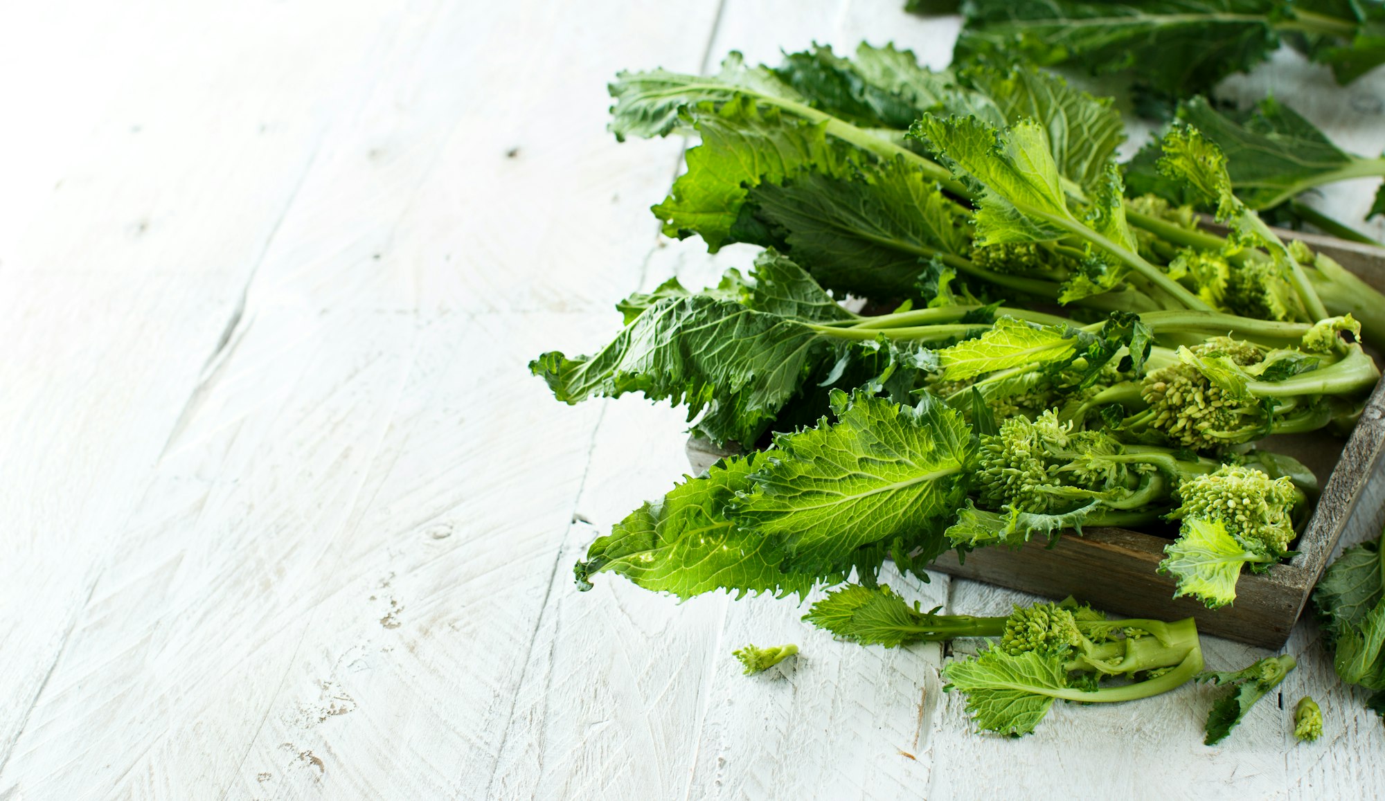 Turnip greens, Cime Di Rape from Italy